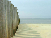 Ameland Vakantie Heidehoeck