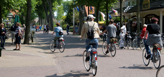 Ameland Vakantie Heidehoeck