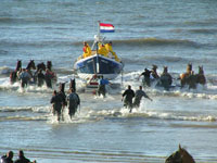 Ameland Vakantie Heidehoeck