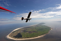 Ameland Vakantie Heidehoeck